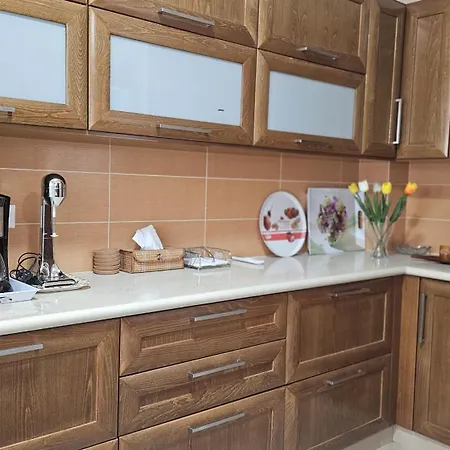 度假居 Synergy House 利马索尔